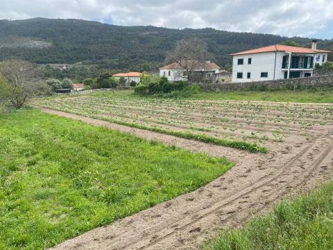Terreno em Âncora  com viabilidade de construção  com 5315 m2