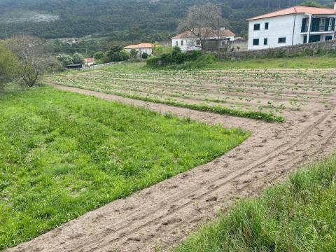 Terreno em Âncora  com viabilidade de construção  com 5315 m2