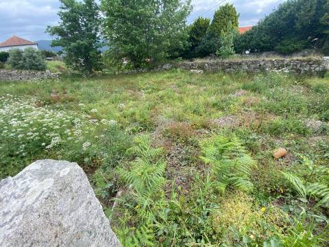 Terreno murado com 621 m2 em Âncora ( Junto ao caminho de Santiago)