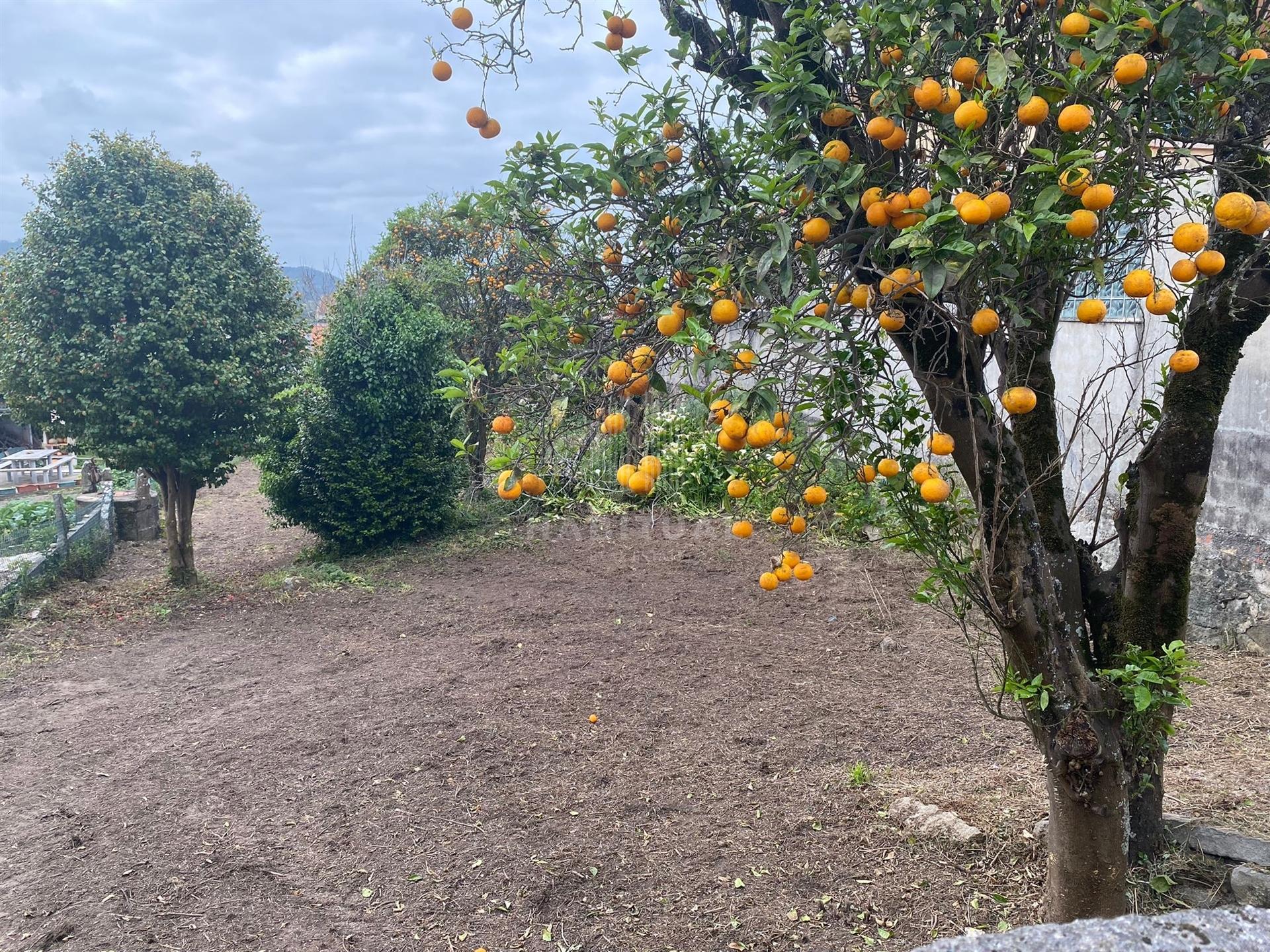 Terreno em Vila Praia de Âncora com 702 m2