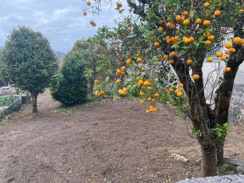 Terreno em Vila Praia de Âncora com 702 m2