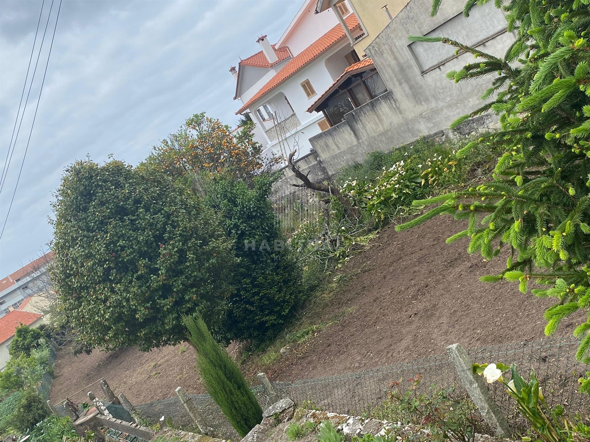 Terreno em Vila Praia de Âncora com 702 m2