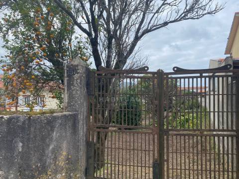 Terreno em Vila Praia de Âncora com 702 m2