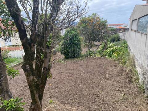 Terreno em Vila Praia de Âncora com 702 m2