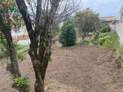 Terreno em Vila Praia de Âncora com 702 m2