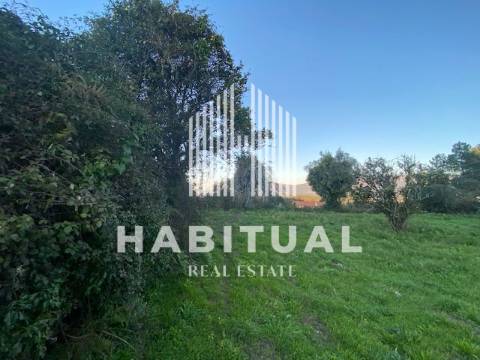 Terreno com 43.768 m2 planos  e murado em Valença