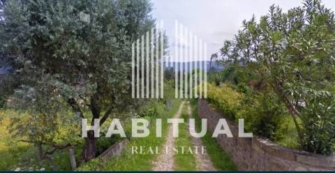 Terreno com 43.768 m2 planos  e murado em Valença