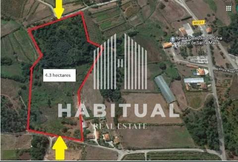 Terreno com 43.768 m2 planos  e murado em Valença