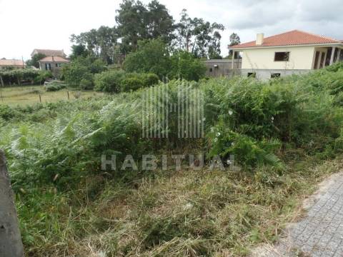 LOTE DE 600 M2 EM MONÇÃO ( MAZEDO )