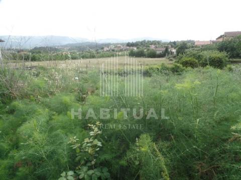 LOTE DE 600 M2 EM MONÇÃO ( MAZEDO )