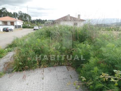 LOTE DE 600 M2 EM MONÇÃO ( MAZEDO )
