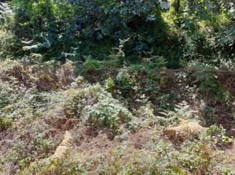 Terreno com Moradia Inacabada em Anais - Ponte de Lima