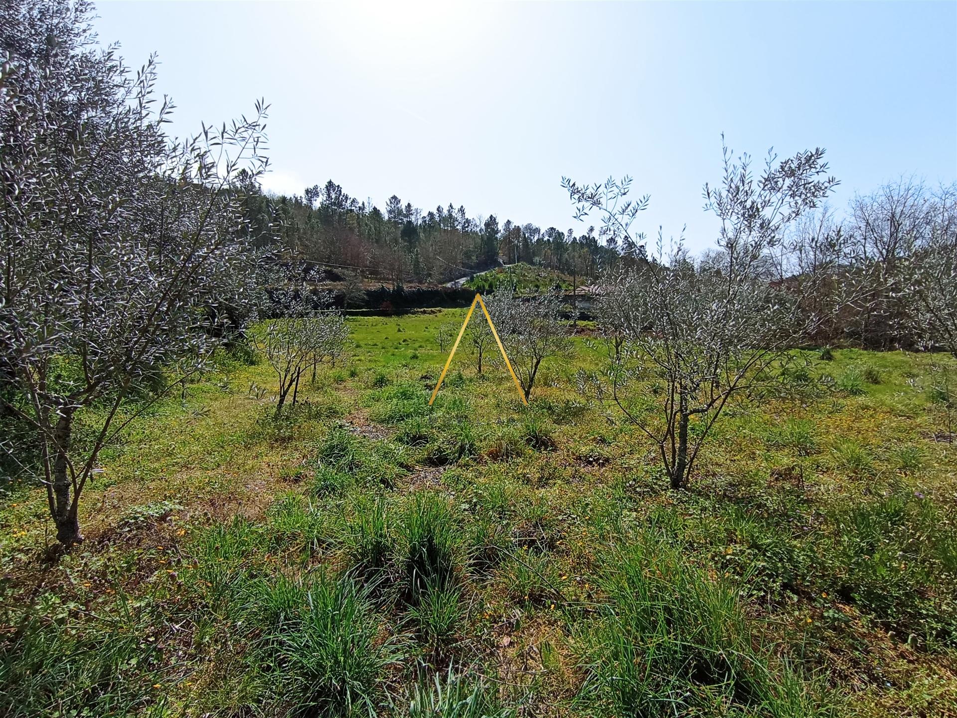 Terreno com cerca de 1800 m2