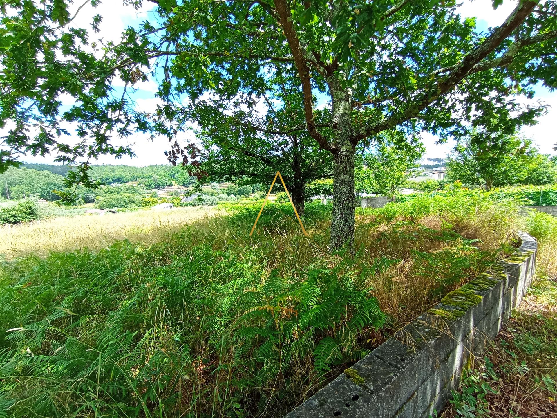 Terreno  Venda em Orgens,Viseu