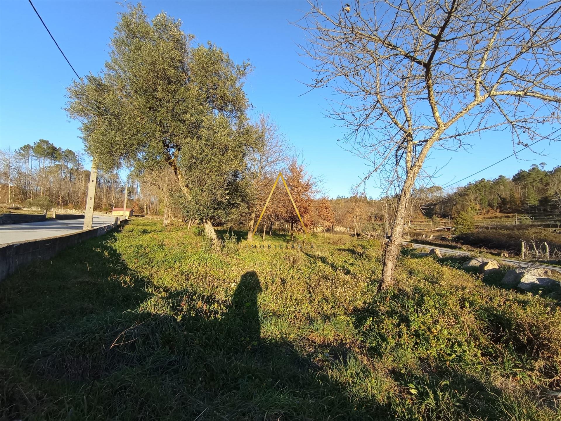 Terreno  Venda em Orgens,Viseu