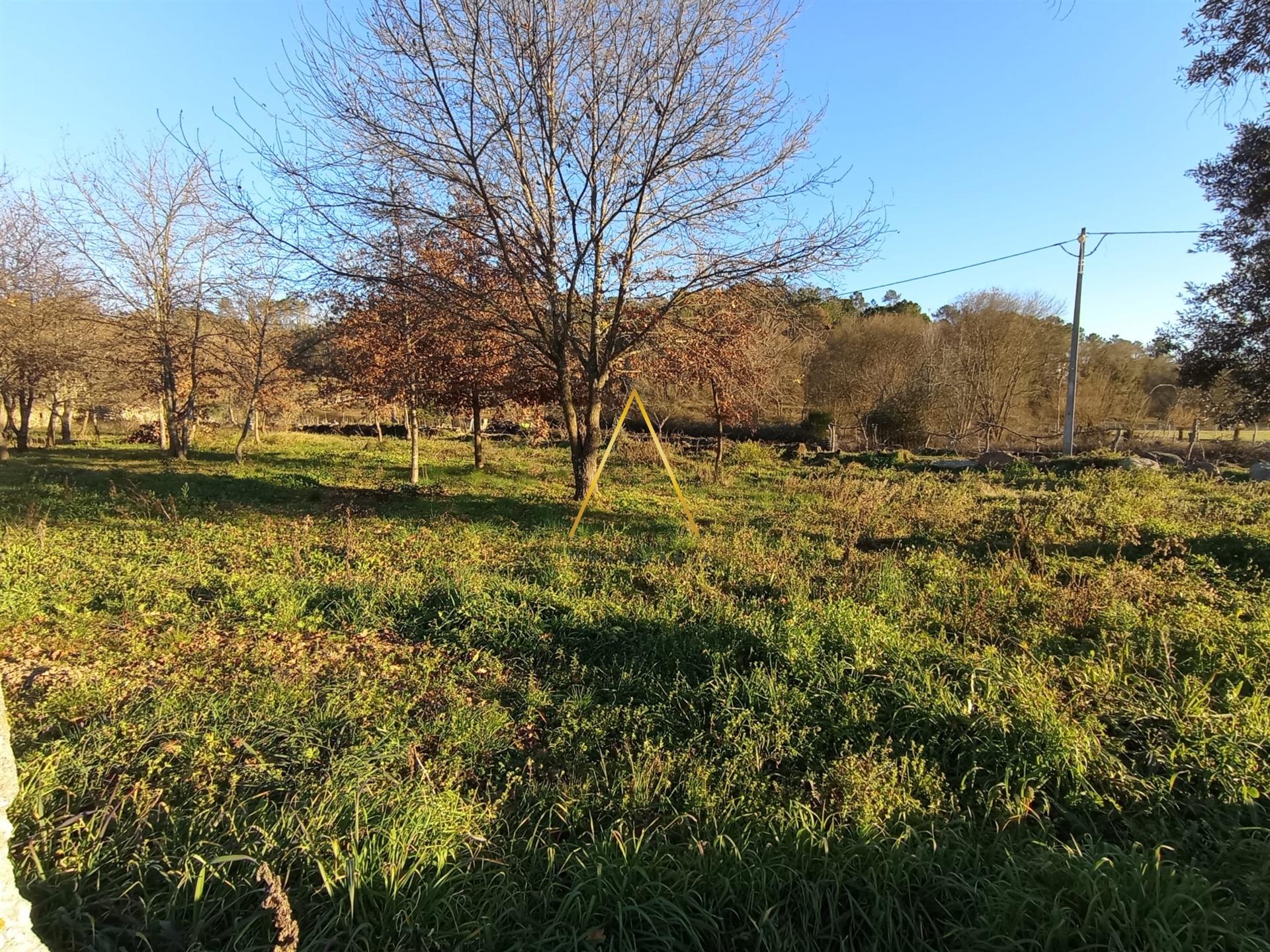 Terreno  Venda em Orgens,Viseu