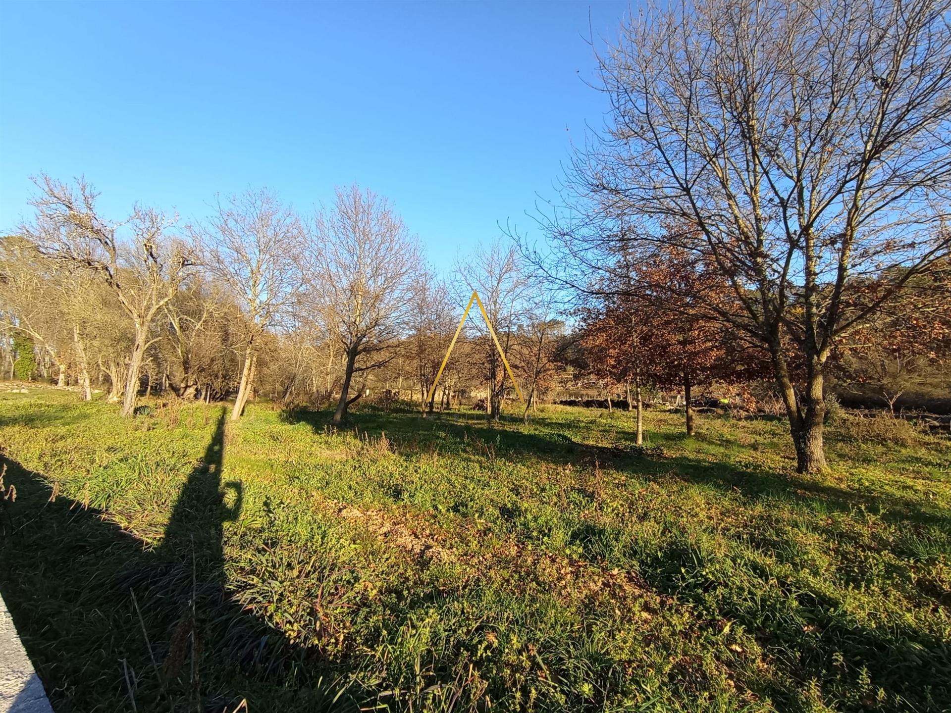 Terreno  Venda em Orgens,Viseu