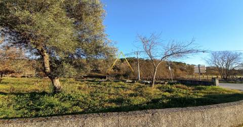 Terreno  Venda em Orgens,Viseu