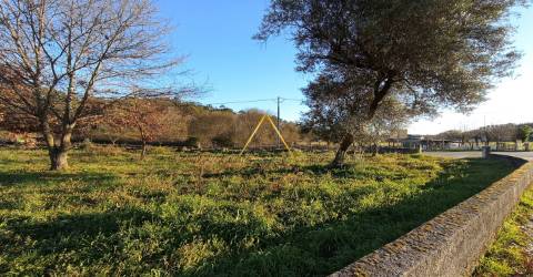Terreno  Venda em Orgens,Viseu