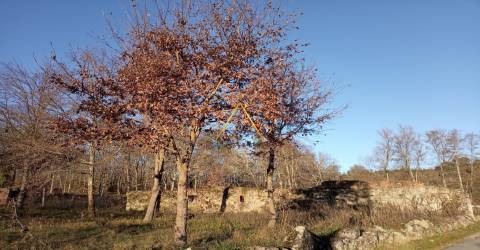 Terreno  Venda em Orgens,Viseu