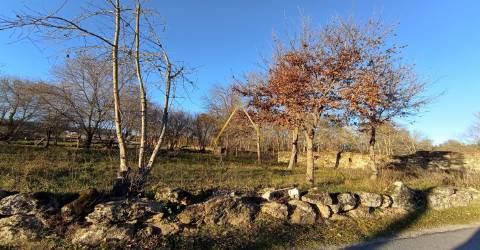 Terreno  Venda em Orgens,Viseu