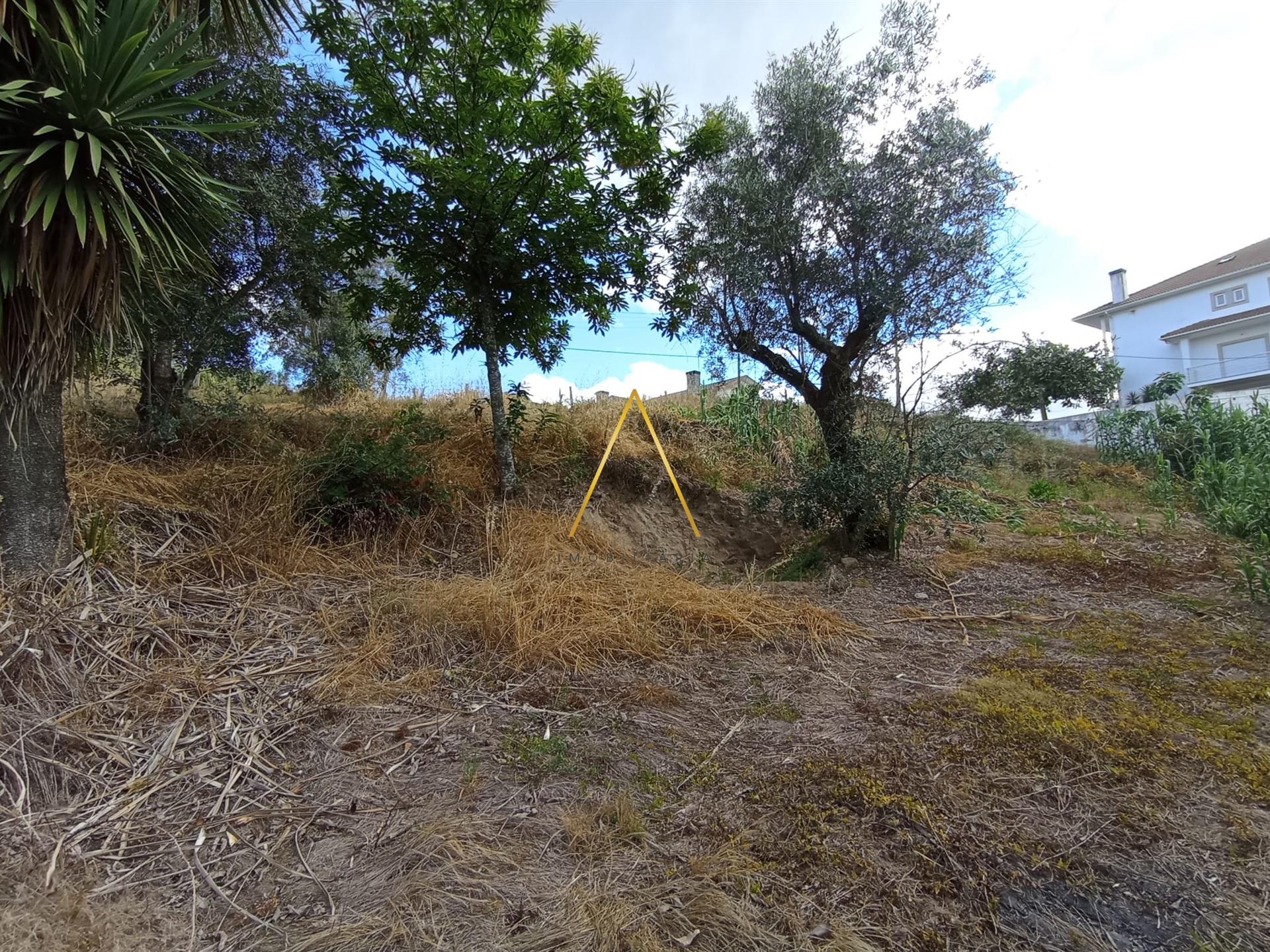 Terreno com 1200 m2, para construção