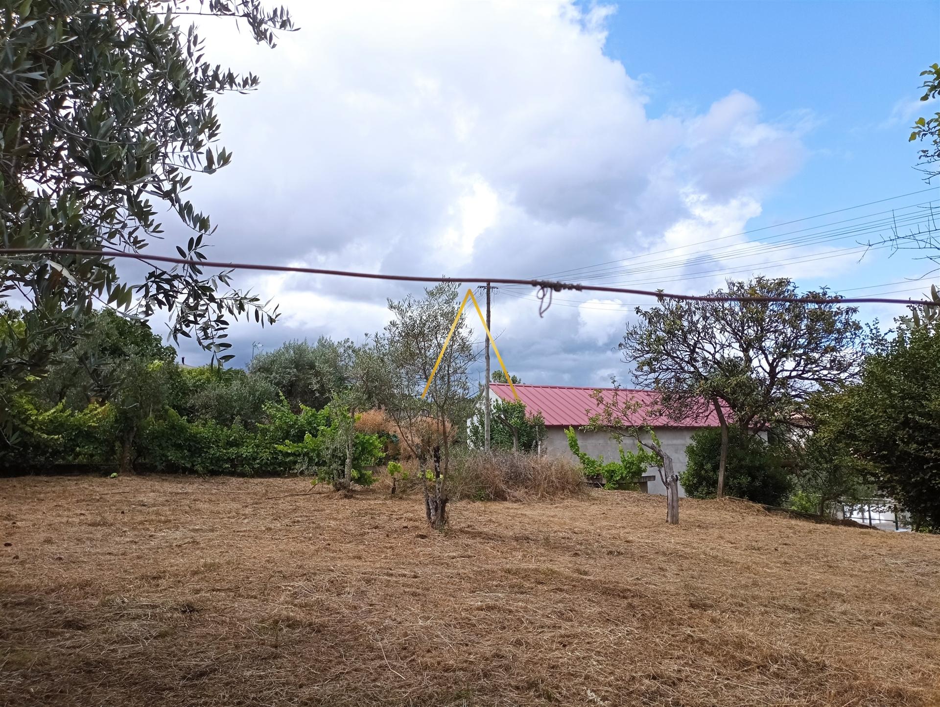 Terreno  Venda em Rio de Loba,Viseu