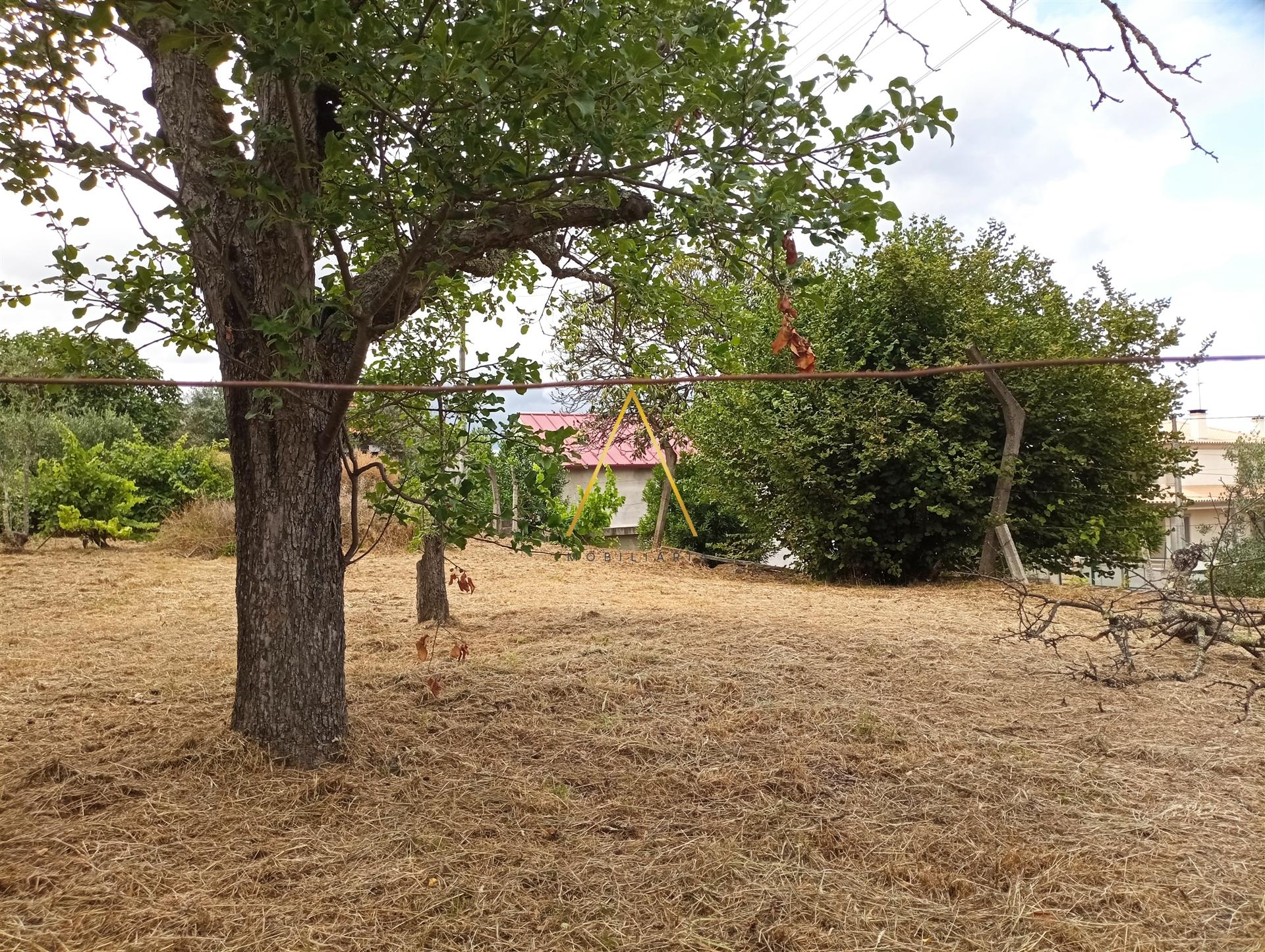 Terreno  Venda em Rio de Loba,Viseu