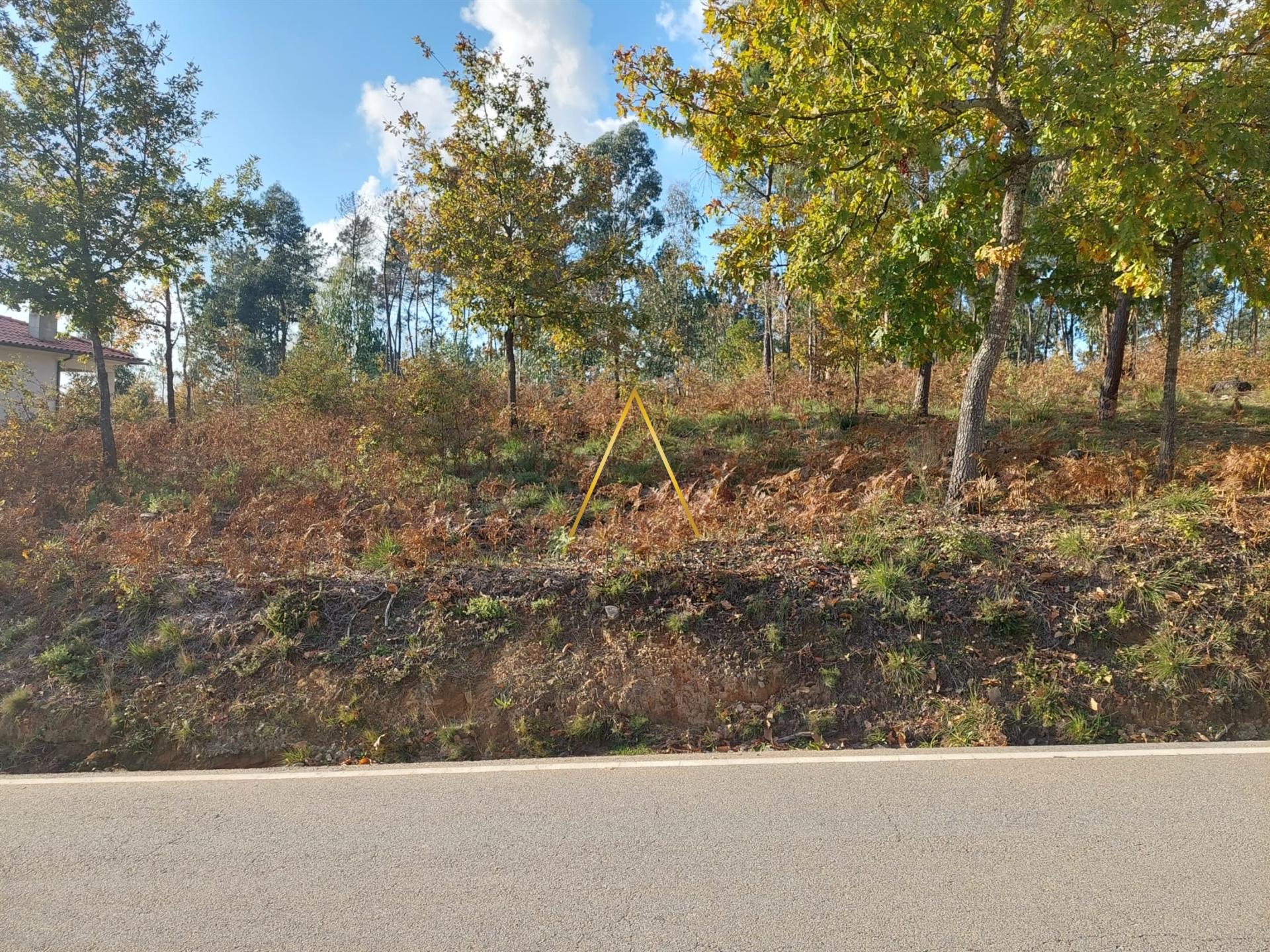 Terreno  Venda em Mundão,Viseu