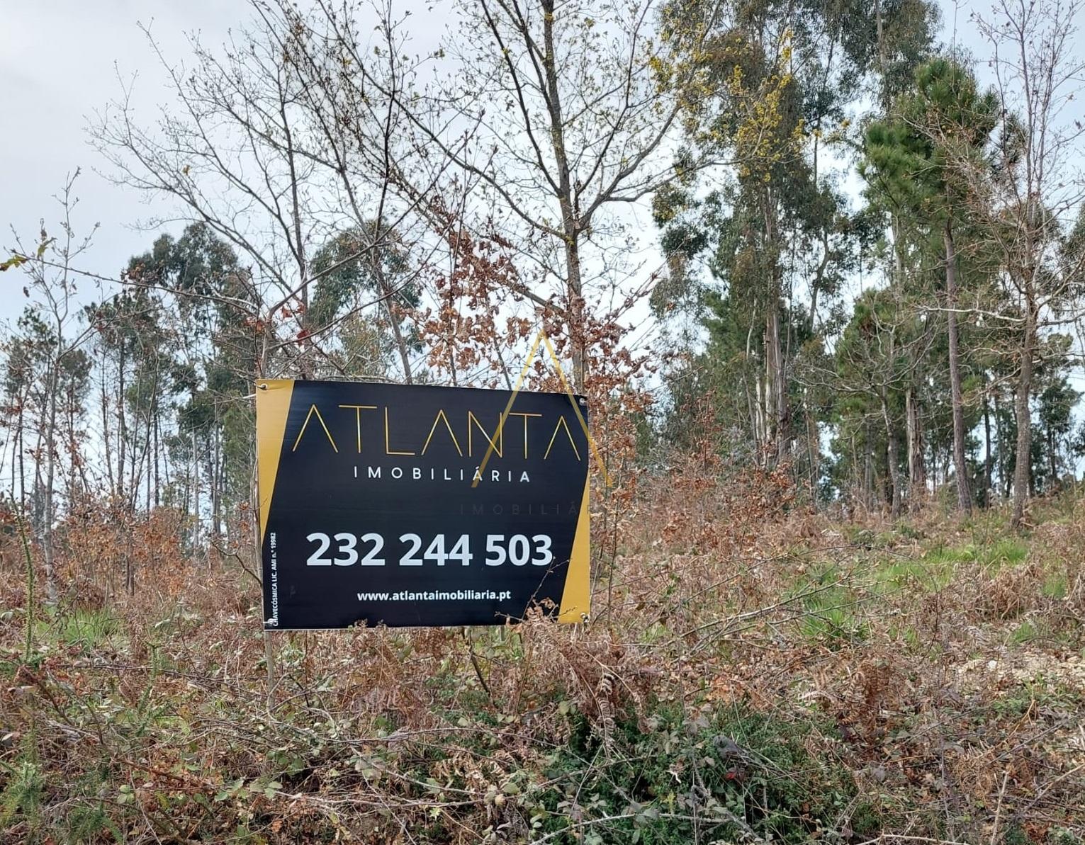 Terreno  Venda em Mundão,Viseu