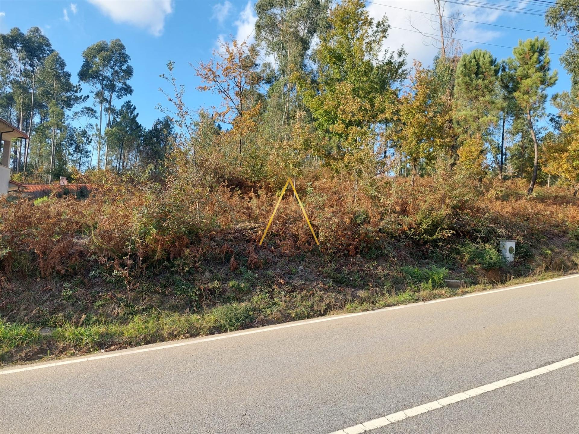 Terreno  Venda em Mundão,Viseu