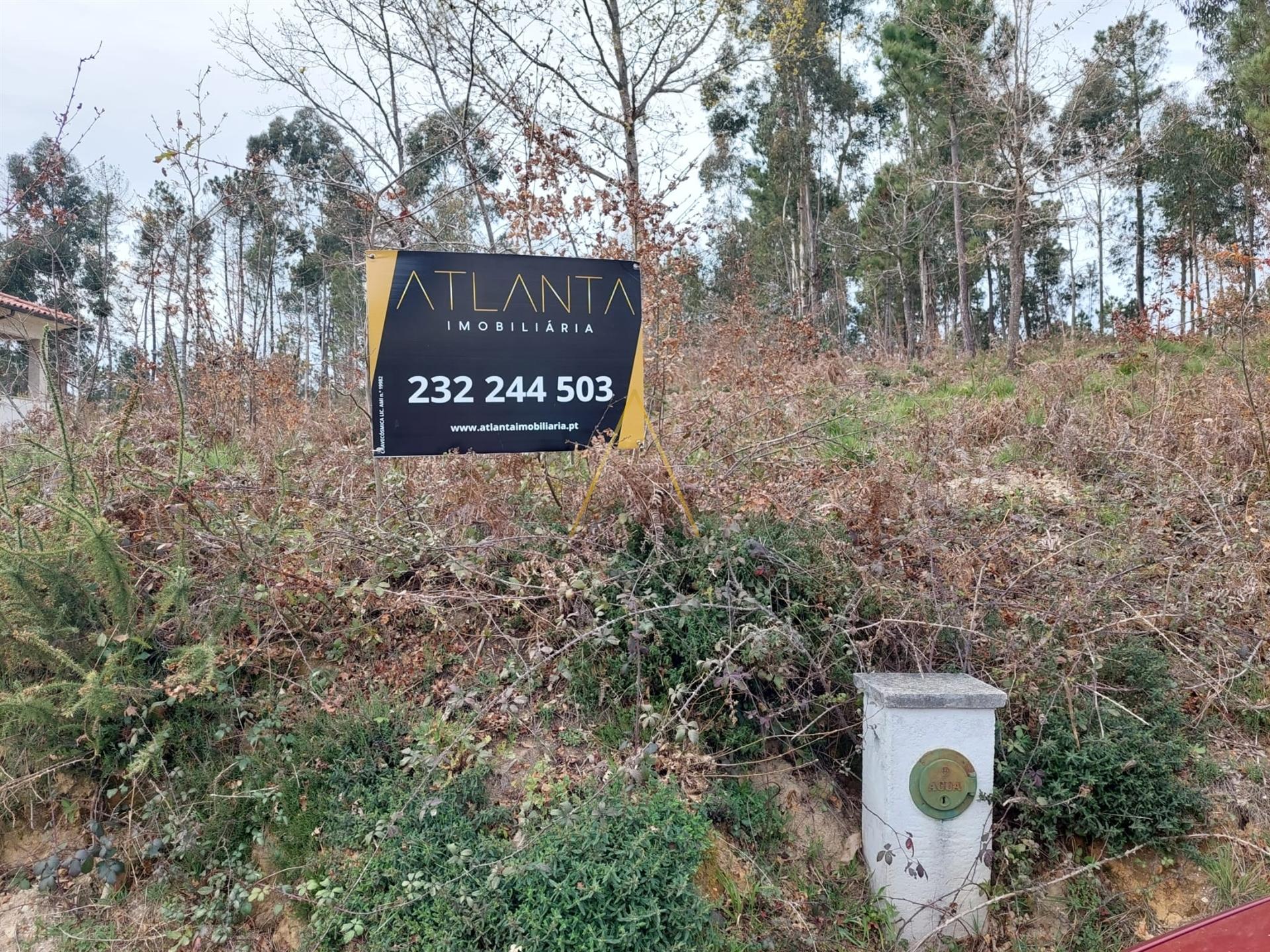 Terreno  Venda em Mundão,Viseu