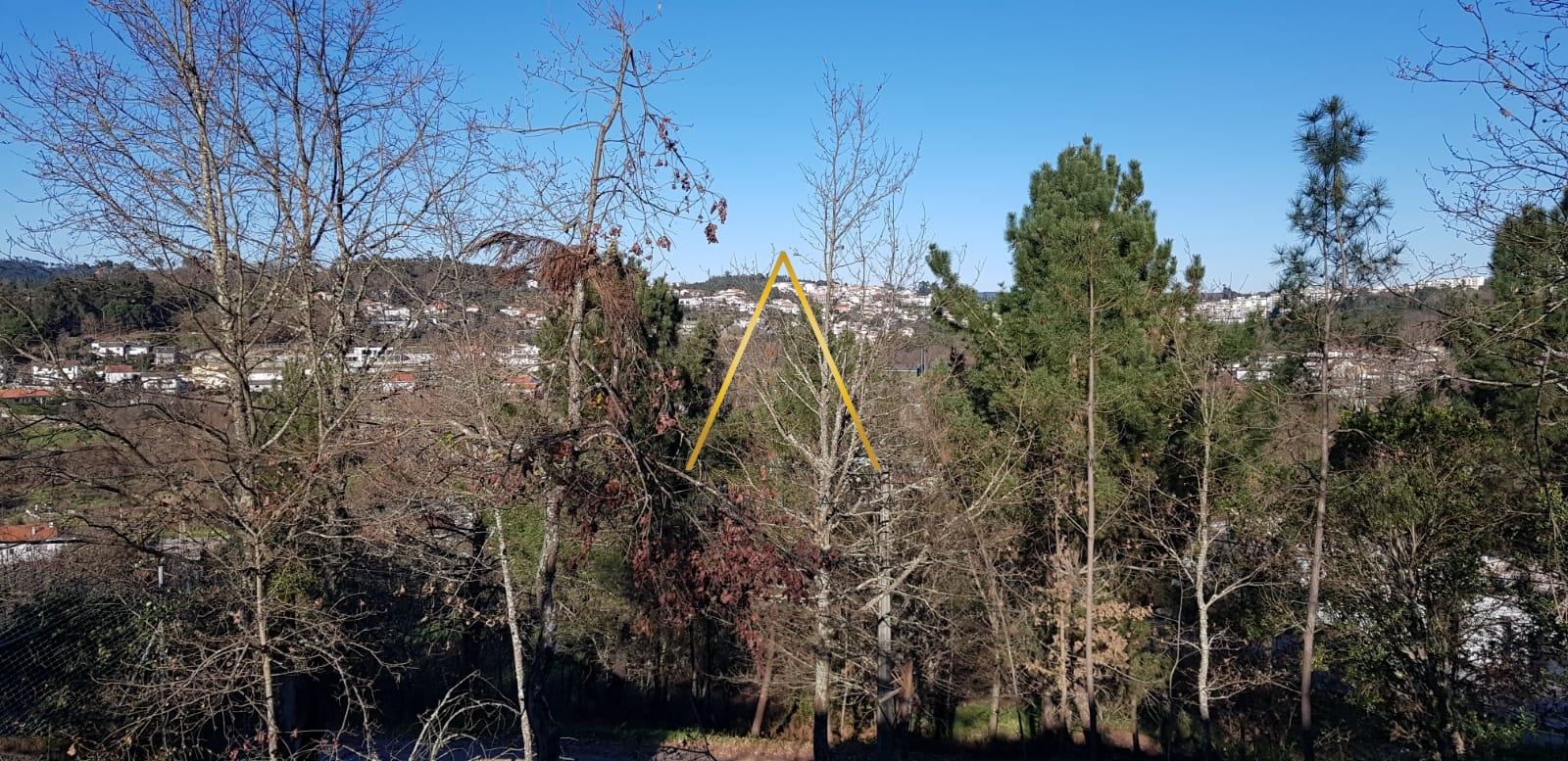 Terreno  Venda em Repeses e São Salvador,Viseu