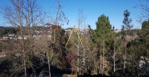 Terreno  Venda em Repeses e São Salvador,Viseu