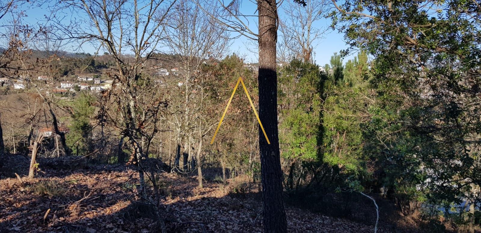 Terreno  Venda em Repeses e São Salvador,Viseu