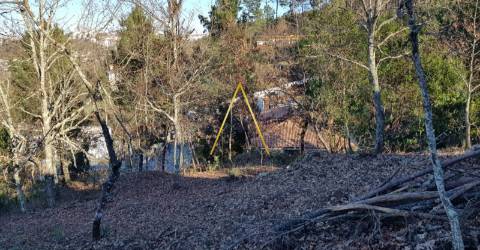 Terreno  Venda em Repeses e São Salvador,Viseu
