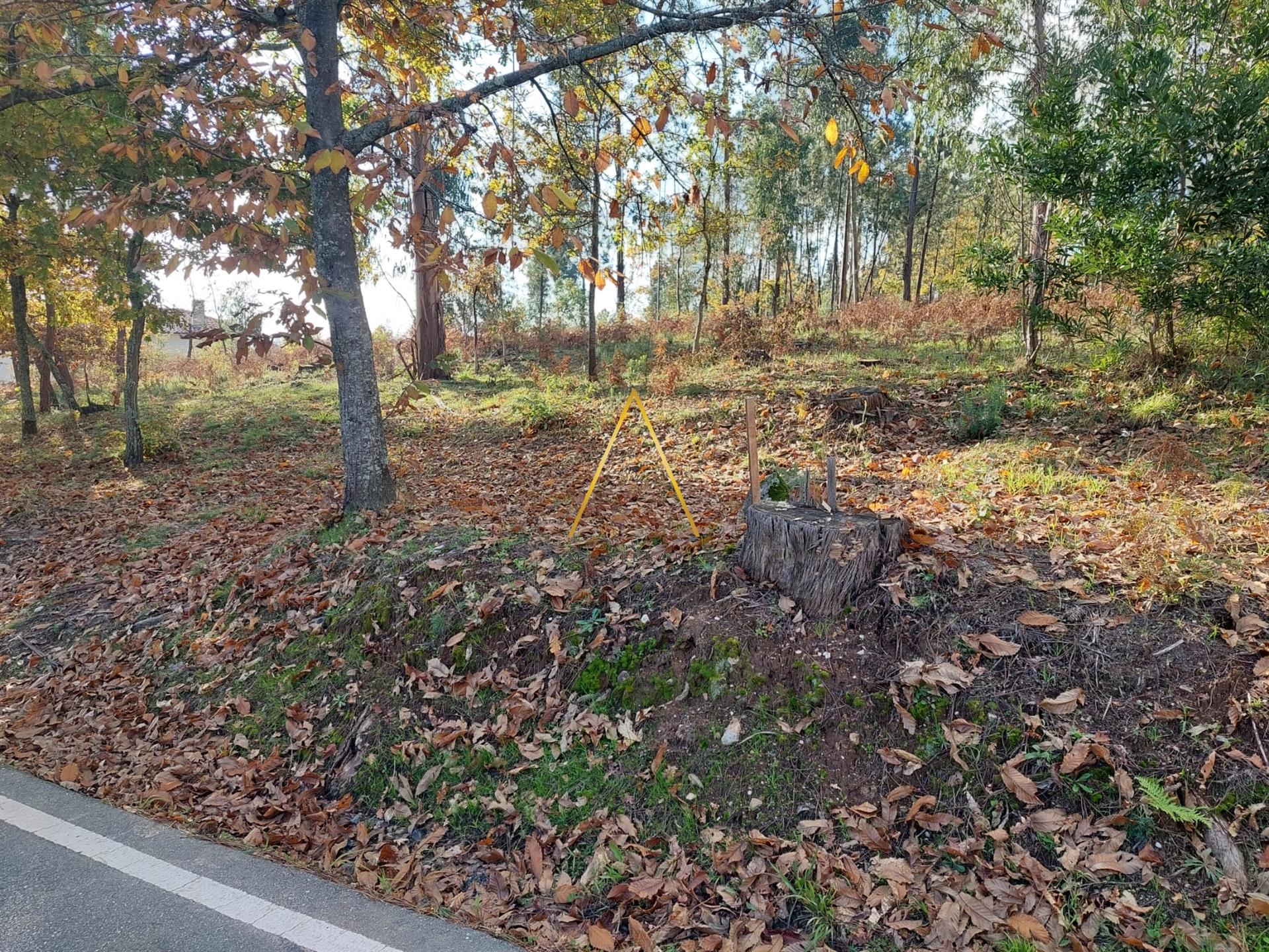 Terreno Urbano  Venda em Mundão,Viseu