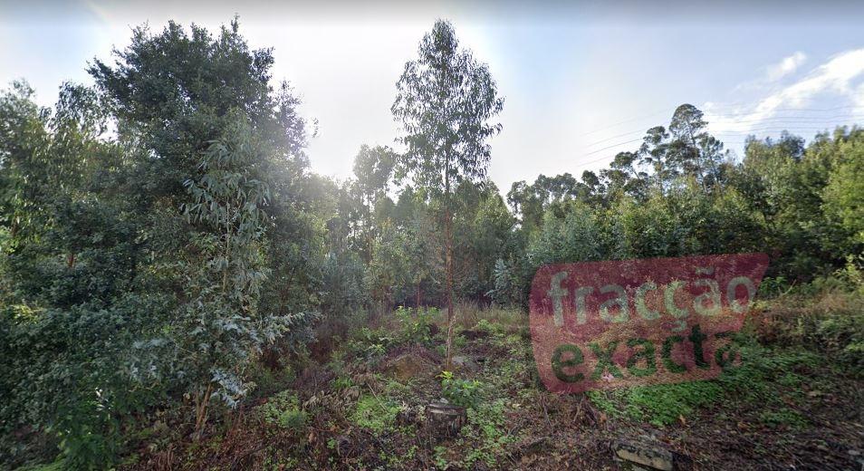 Terreno Rústico  Venda em Sandim, Olival, Lever e Crestuma,Vila Nova de Gaia