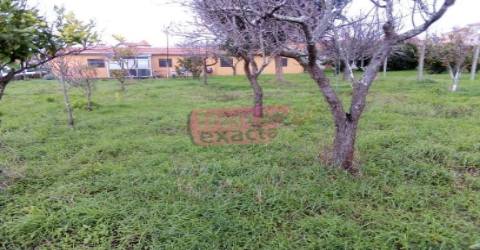 Loteamento  Venda em Madalena,Vila Nova de Gaia