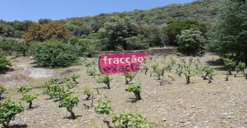 Quinta T6 Venda em Vinhais,Vinhais