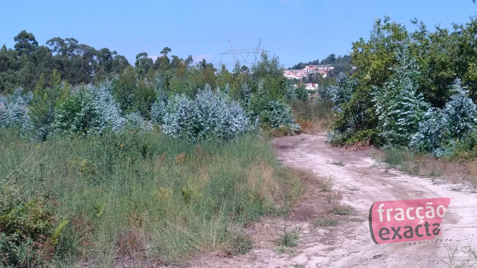 Loteamento  Venda em Paços de Ferreira,Paços de Ferreira