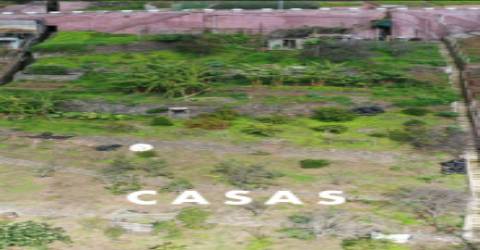 Terreno  Venda em Estreito de Câmara de Lobos,Câmara de Lobos