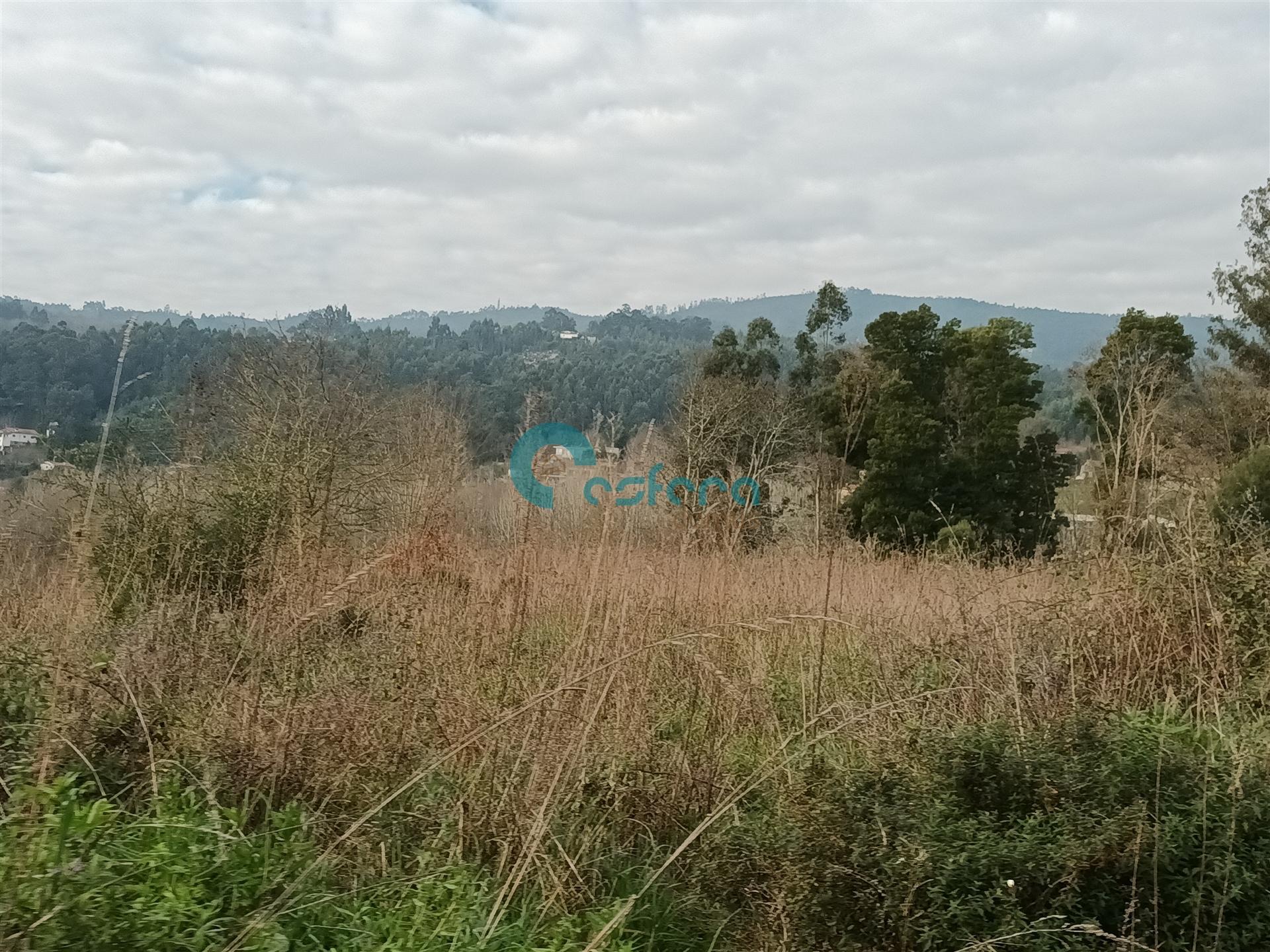 Terreno Misto  Venda em Abragão,Penafiel