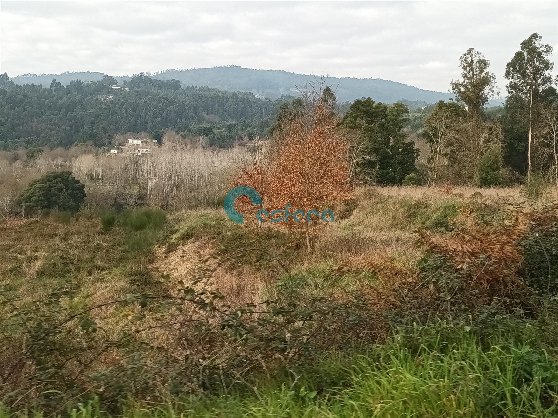 Terreno Misto  Venda em Abragão,Penafiel