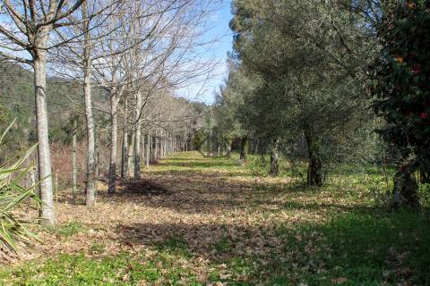 Quinta da Mata em Cabeceiras de Basto