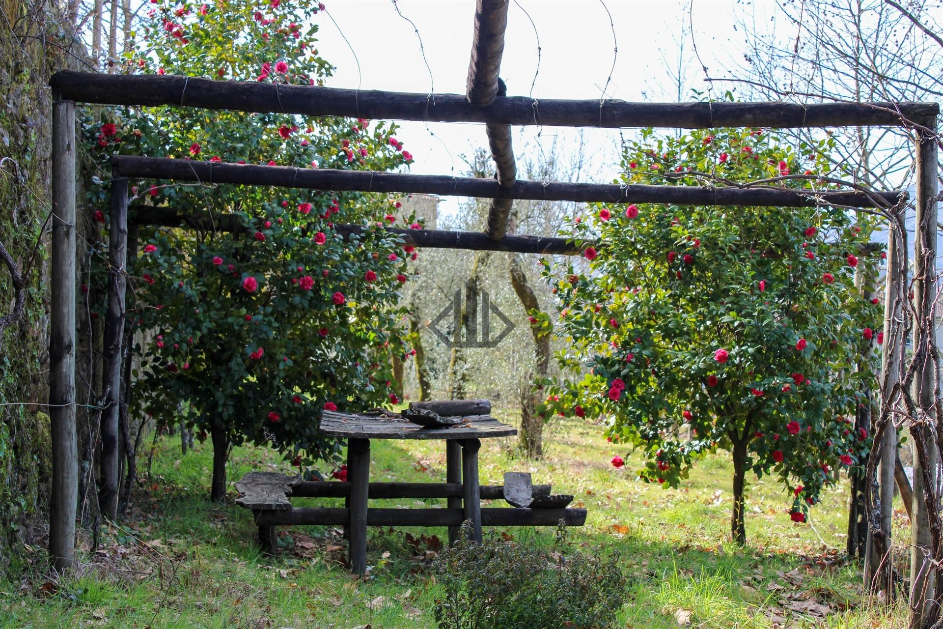 Quinta da Mata em Cabeceiras de Basto