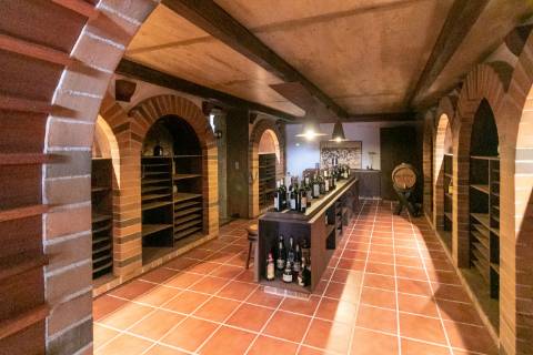 Quinta T5, com SPA, Vista Mar em Valadares