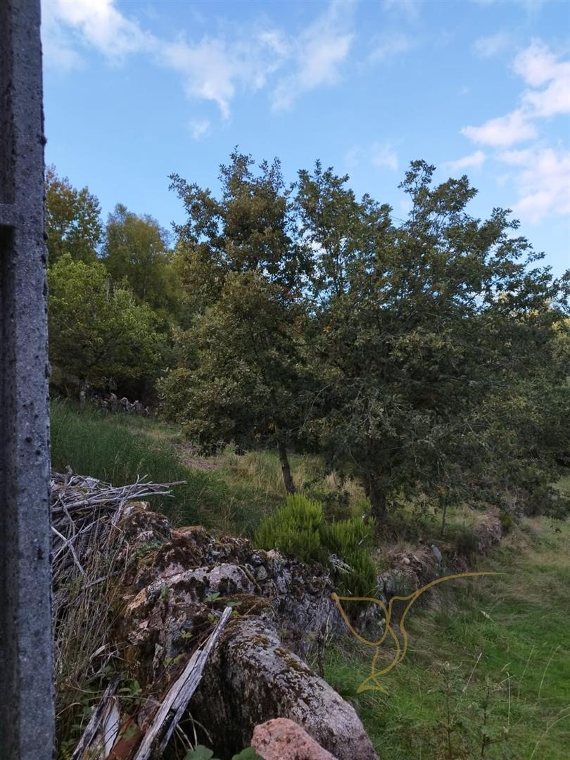 Moradia para restauro em Castro Laboreiro, Viana do Castelo