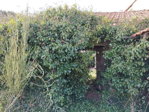 Moradia para restauro em Castro Laboreiro, Viana do Castelo