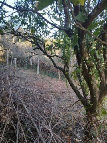 Moradia para restaurar em Melgaço, Viana do Castelo